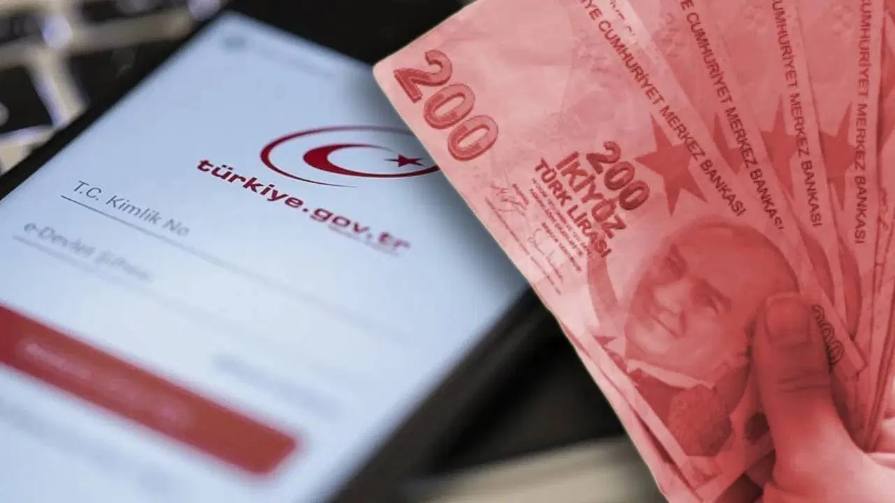 e devletini kontrol etmeyenler kaybediyor paralar devlete iade ediliyor YxizA8kO