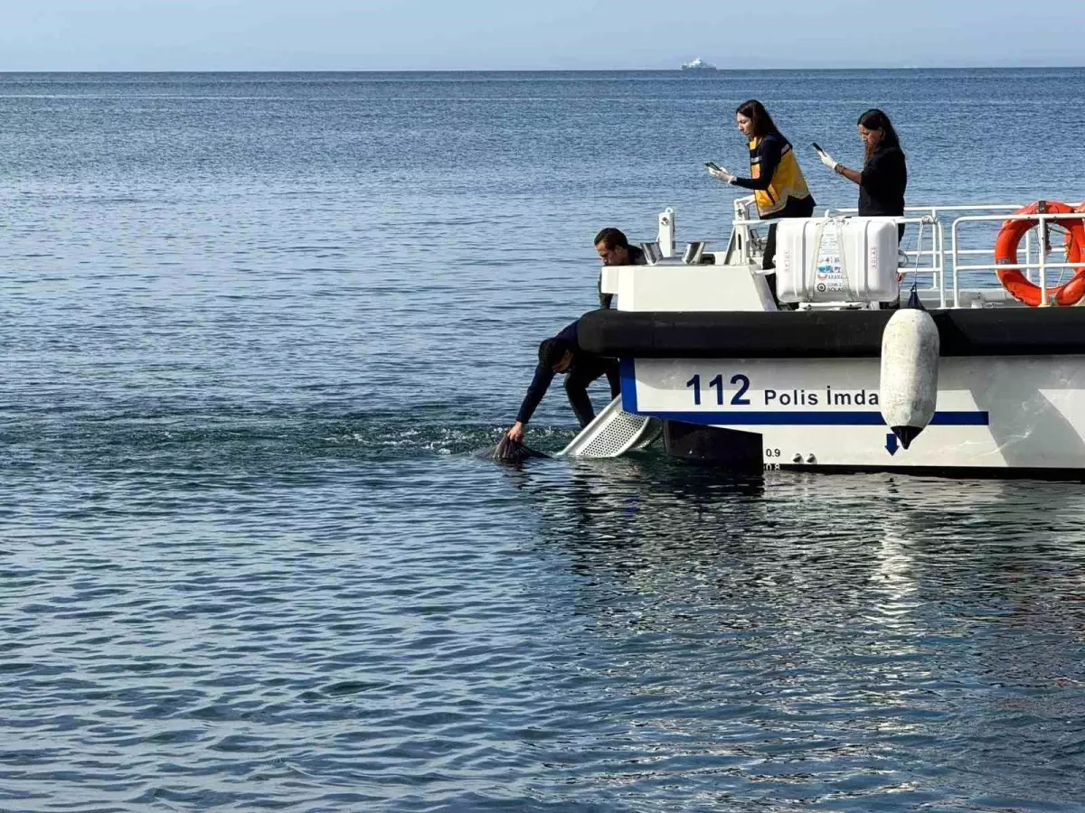 erdekte denizde erkek cesedi bulundu DlkxvYAu.jpg