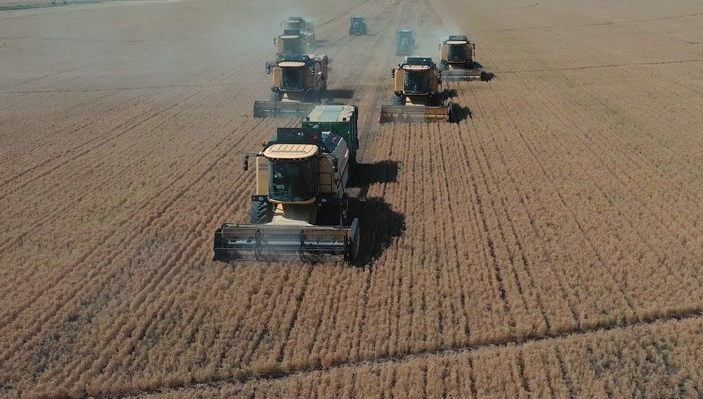 tigem mevsimlik isci alimi basvuru ekrani tarim isletmesi mudurlugu isci alimi kadro dagilimi ve basvuru sartlari j9UtCiFL