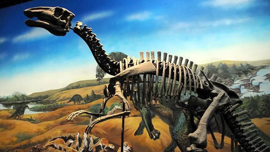 Boyu 20 metreye kadar cikabiliyor taylandda yeni dinozor turu kesfedildi 6w7GQ3bU