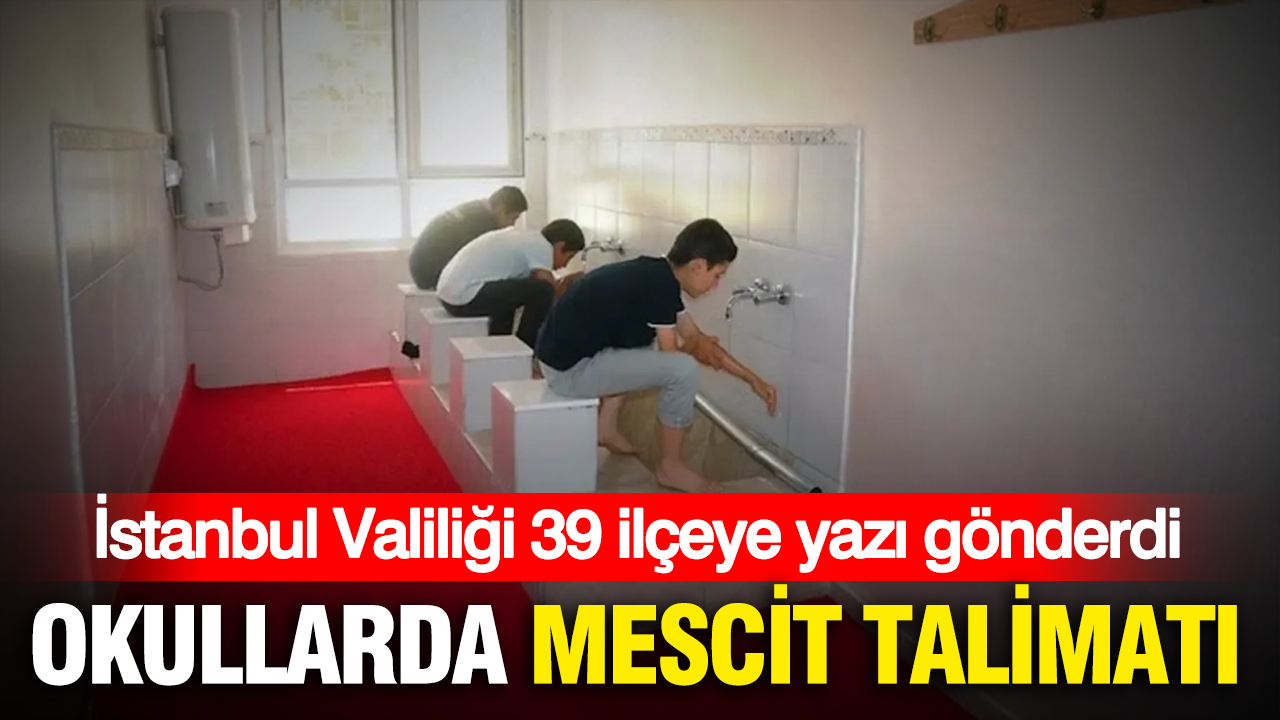 Haber gorseli